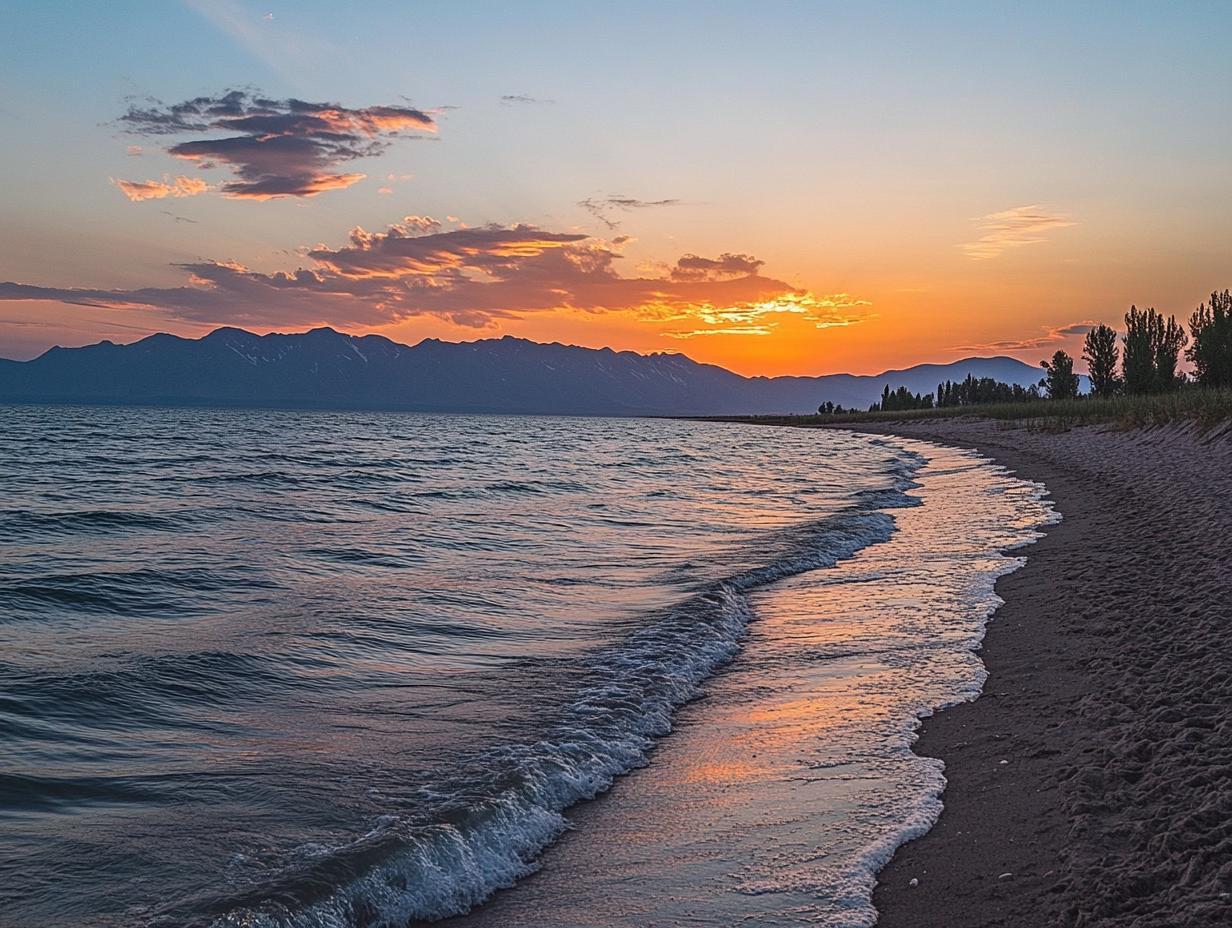 Ориент Алаколь: Все, что вам нужно знать о Доме отдыха Orient Alakol ВКО (Ориент Алаколь) 2026 ориент, алаколь